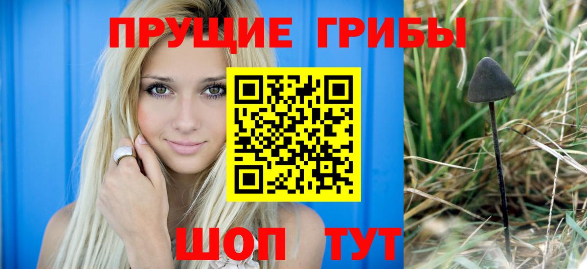 Галлюциногенные грибы MAGIC MUSHROOMS  Вход с VPN  Симферополь  где можно купить наркотик  Псилоцибиновые грибы прущие грибы 